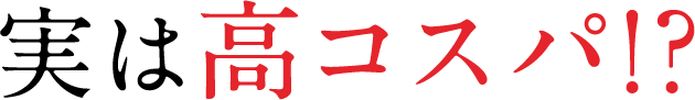 実は高コスパ!?