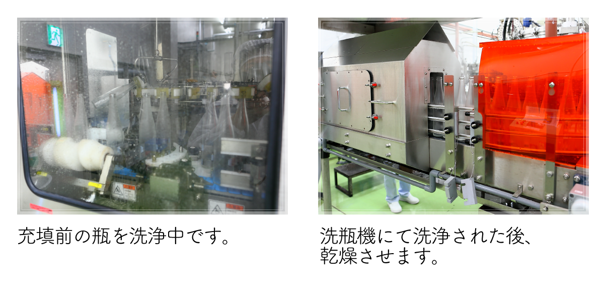 充填前の瓶を洗浄中です。洗瓶機にて洗浄された後、乾燥させます。