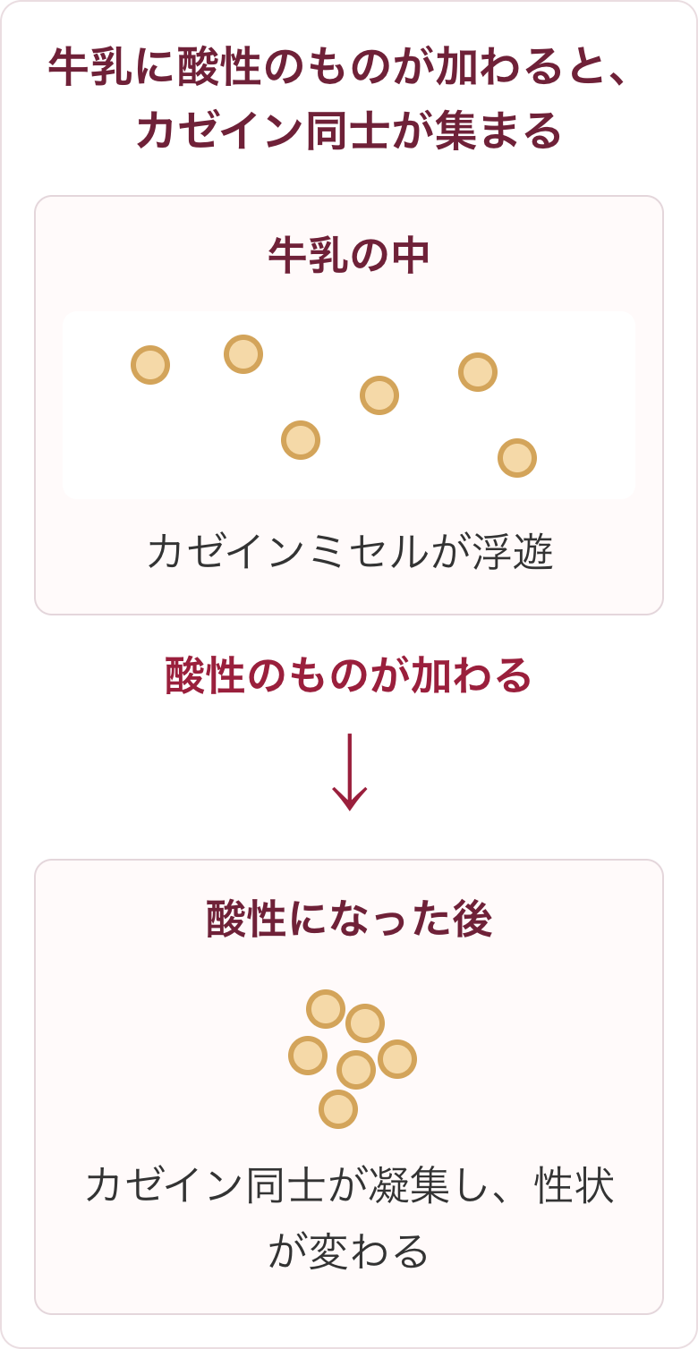 牛乳に酸性のものが加わると、牛乳の中に浮遊していたカゼインミセルが集まって凝集し、性状が変わる仕組みの図