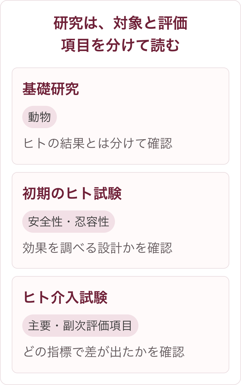 ウロリチンA研究を段階別に読むための図。基礎研究(動物)はヒトの結果と分けて確認、初期のヒト試験(安全性・忍容性)は効果を調べる設計かを確認、ヒト介入試験(主要・副次評価項目)はどの指標で差が出たかを確認