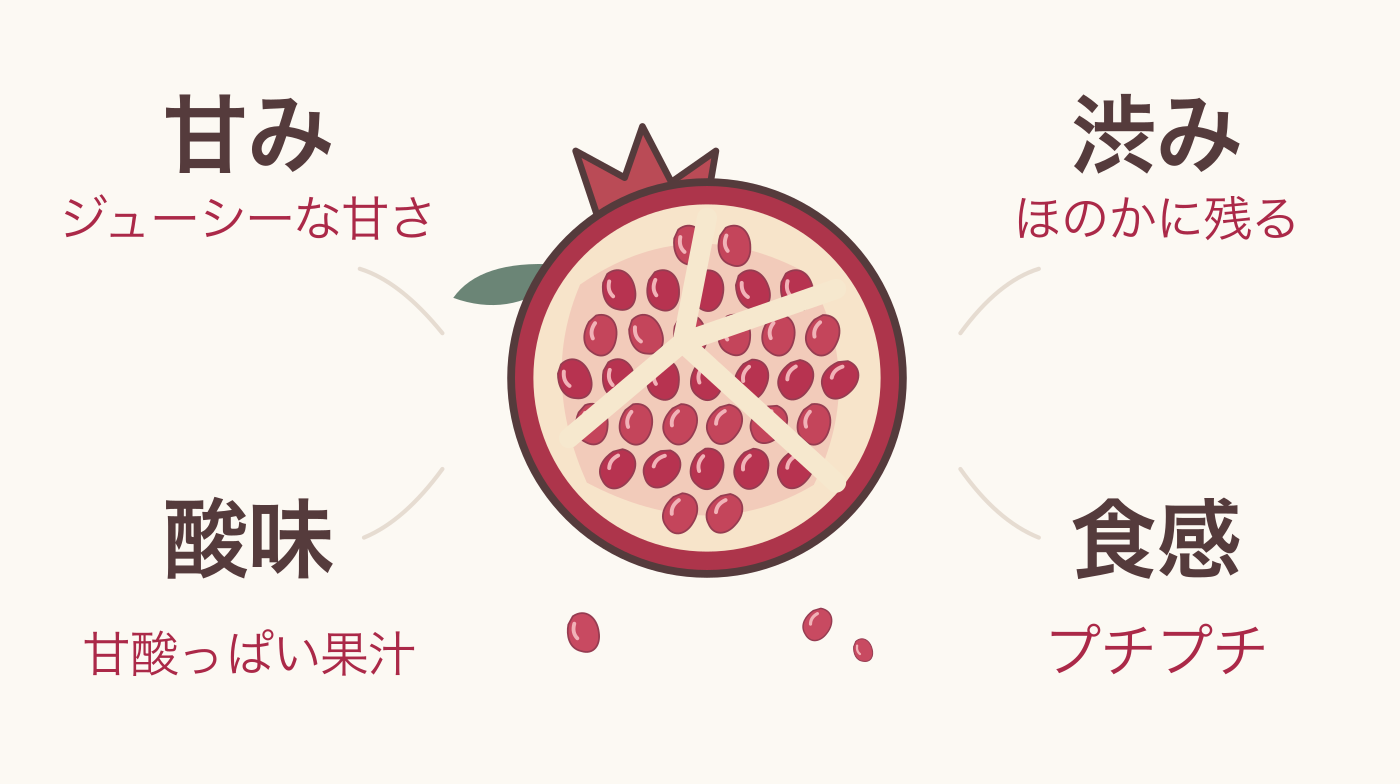 ザクロの味は甘みと酸味、ほのかな渋みに、粒のプチプチした食感が重なる。ザクロの断面を囲んで4つの要素を示した図。