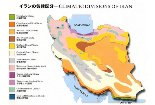 なぜイラン産なの ザクロのしずく ザクロ屋公式サイト なぜイラン産なの ザクロのしずく ザクロ屋公式サイト